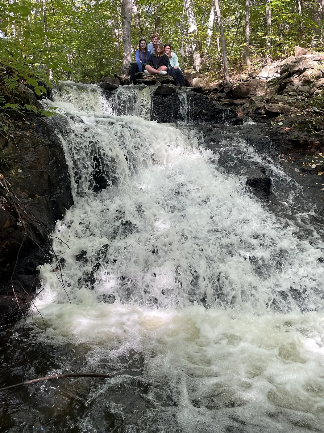 The little waterfall off the Lake Drive walk — follow the old logging road from the Lake Drive / Staples Pond Road junction about a quarter mile to the bridge, cross it, turn right, and head downstream. Rob camped here with his dad as a boy.